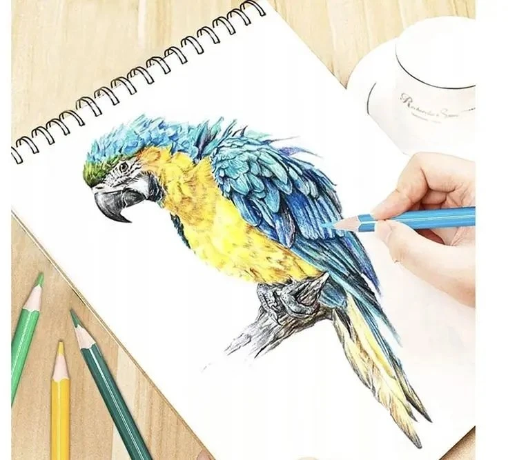 „Craft Sensations“ – 46 vnt. spalvinimo pieštukų (CR0500)