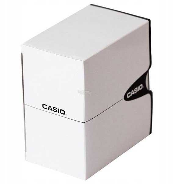 Laikrodis vyrams Casio DAY DATE 50M (Ø 40 mm)