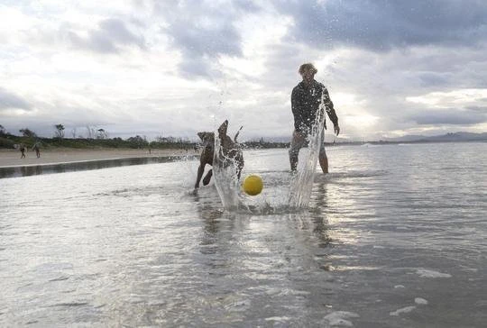 Waboba Fetch dog ball