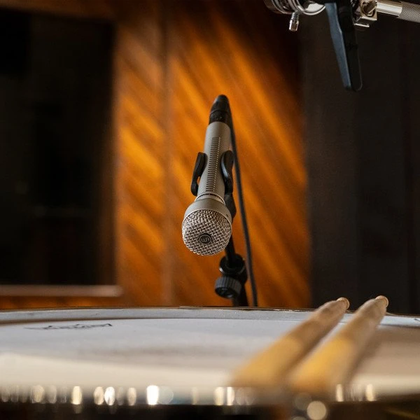 WRA Warm Audio WA-19N mikrofonas Nikelis Studijos mikrofonas
