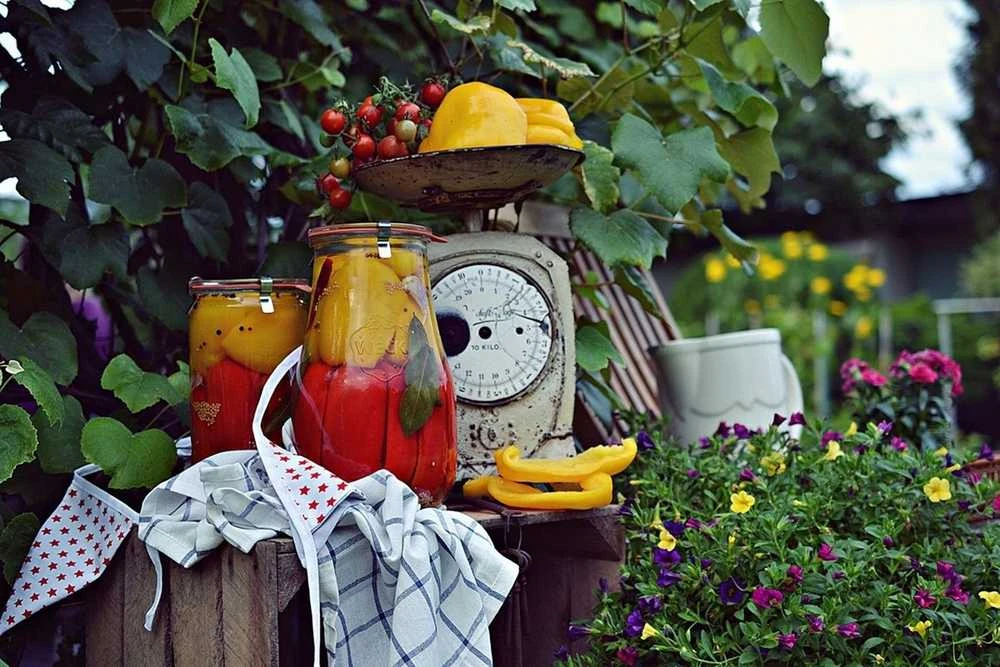 Jar, 2.7 l, Tulip, 4 pcs