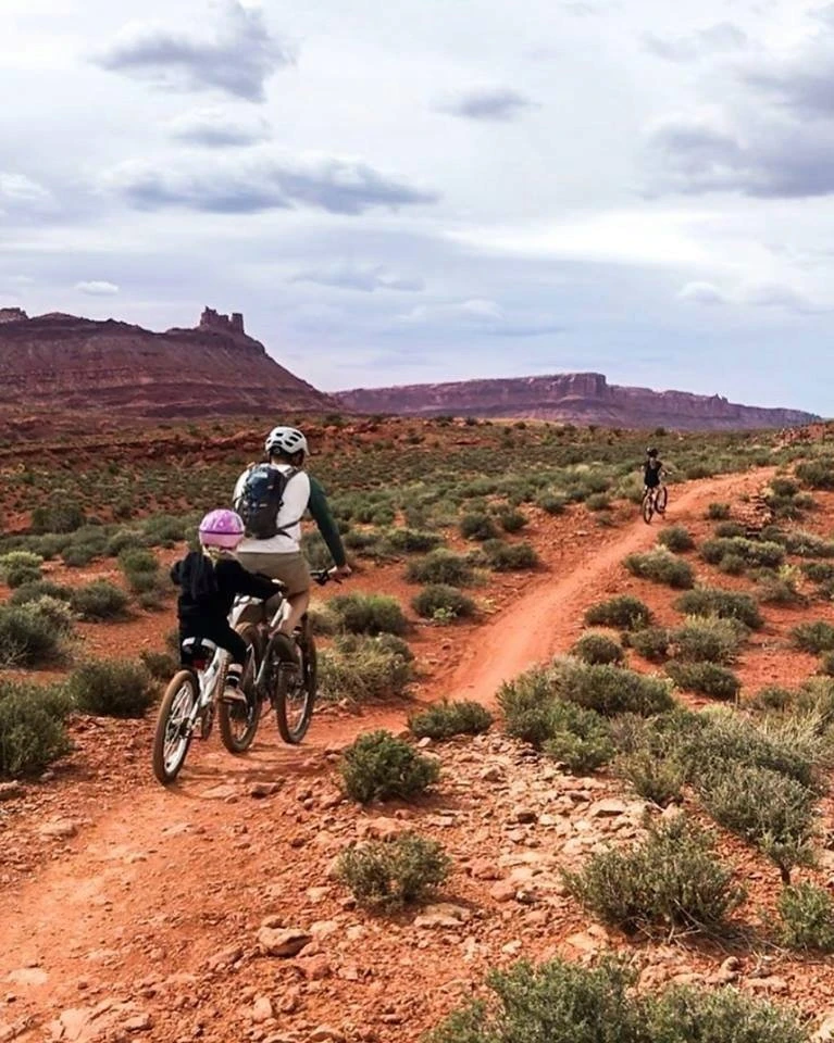 WeeRide WeeRide – Kazam Link mėlyna, dviratis priekaba, vilkikas, priekaba, priekaba, EAN 016751374758