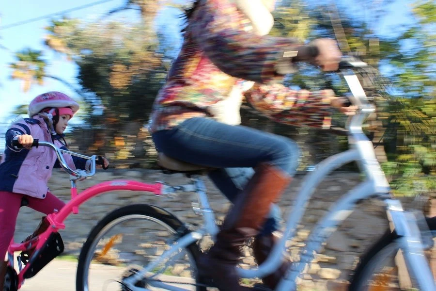 WeeRide WeeRide – Kazam Link mėlyna, dviratis priekaba, vilkikas, priekaba, priekaba, EAN 016751374758