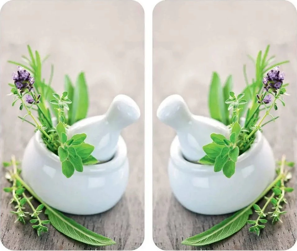 Stiklinės lėkštės HERB GARDEN viryklei - 2 vnt, WENKO