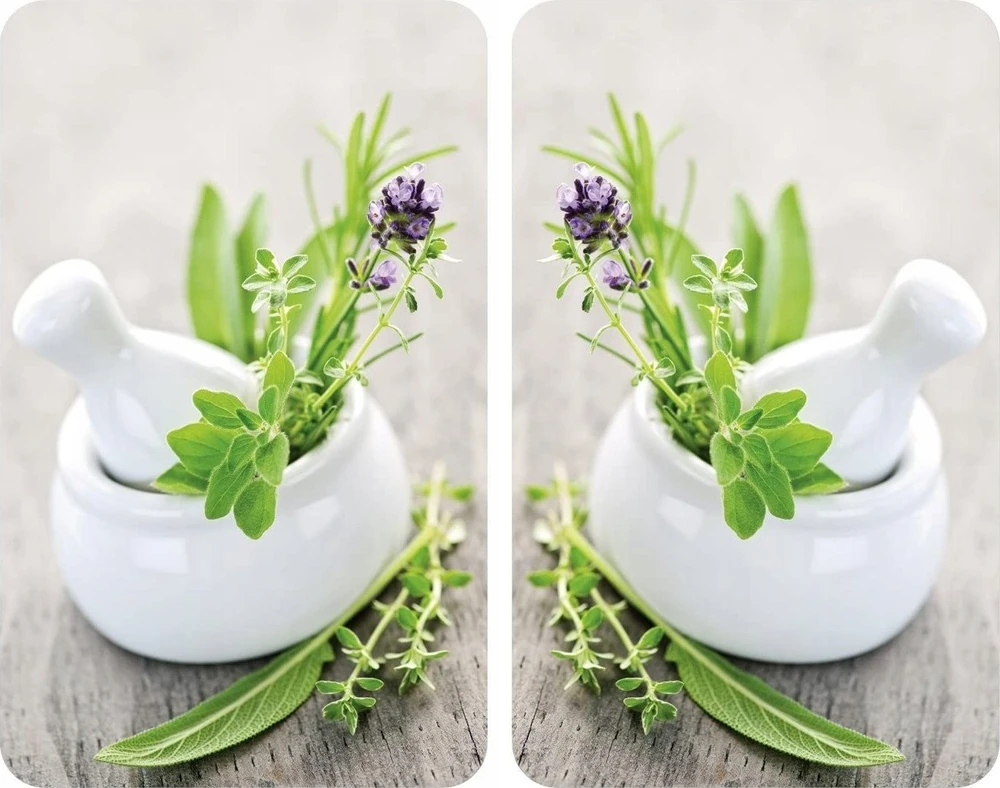 Stiklinės lėkštės HERB GARDEN viryklei - 2 vnt, WENKO