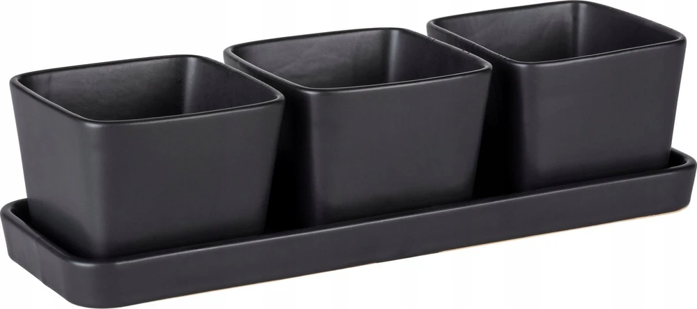 Užkandžių ir padažų rinkinys, 3 dubenys su padėklu, 300 ml, WENKO
