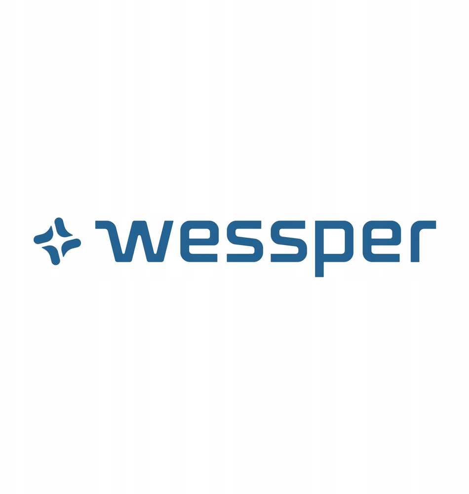 Wessper WES500 stiklinis gėrimų termosas su filtru