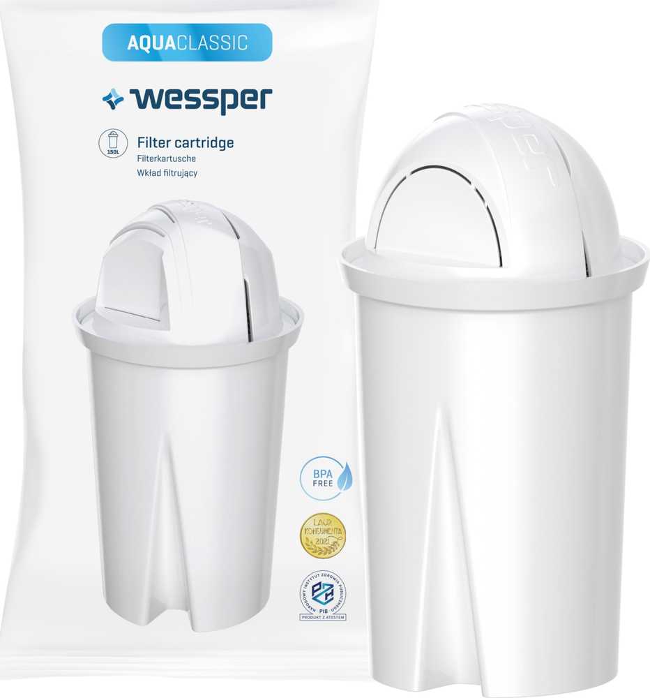 Wessper AquaClassic Basic 2,5 l pilko filtro ąsotis (WES204-GR)