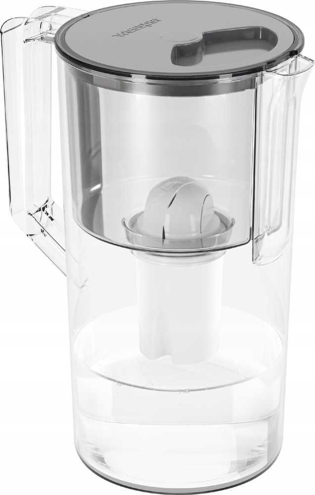 Wessper AquaClassic Basic 2,5 l pilko filtro ąsotis (WES204-GR)