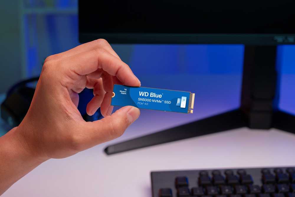 SanDisk WD Mėlyna SN5000 NVMe SSD 4TB M.2 2280 PCIe Gen4