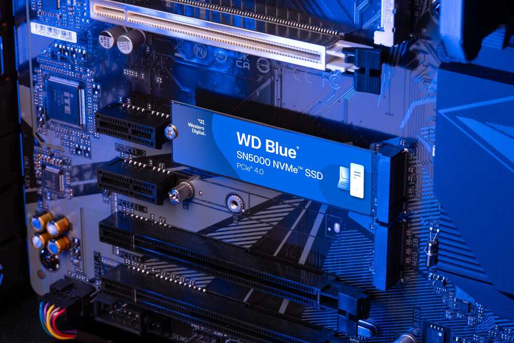 SanDisk WD Mėlyna SN5000 NVMe SSD 4TB M.2 2280 PCIe Gen4