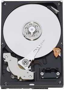 SanDisk WD Mėlyna 1TB SATA 3.5inch HDD 6Gb/s