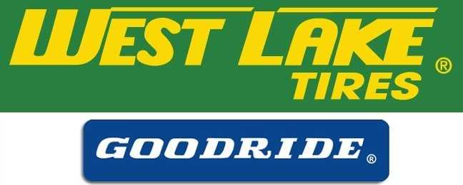 Universalios padangos Westlake All Season Elite Z-401 225/55 R16 99 V XL (C C B 72dB)