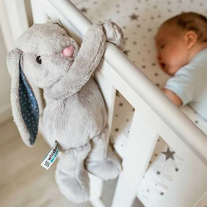 Whisbear migdukas triušis Felek