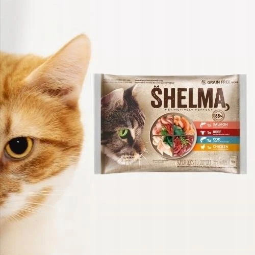 SHELMA Rich in lašiša, cod, jautiena and vištiena – šlapias kačių maistas – 4x85g