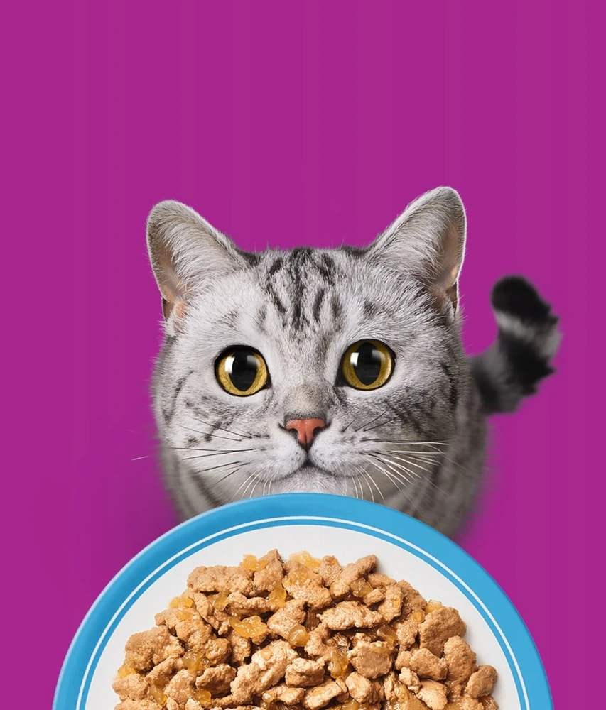 WHISKAS Suaugusių Žuvies Skanėstai 80x85g drėgnas maistas visaverčiam suaugusių kačių maitinimui želė