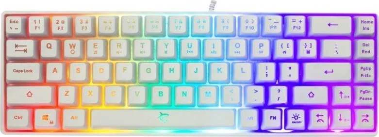 Klaviatūra White Shark Baltas Shark GK-2201 Ronin baltas US