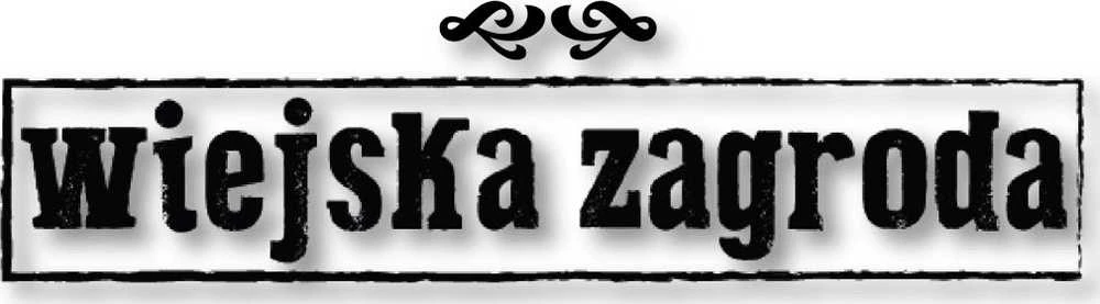 Šunų Maistas - WIEJSKA ZAGRODA Kalakutiena ir Žąsis M 9kg