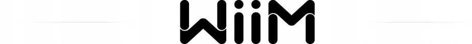 WiiM WiiM Vibelink Amp - dark pilkas - Stiprintuvas Hi-Fi