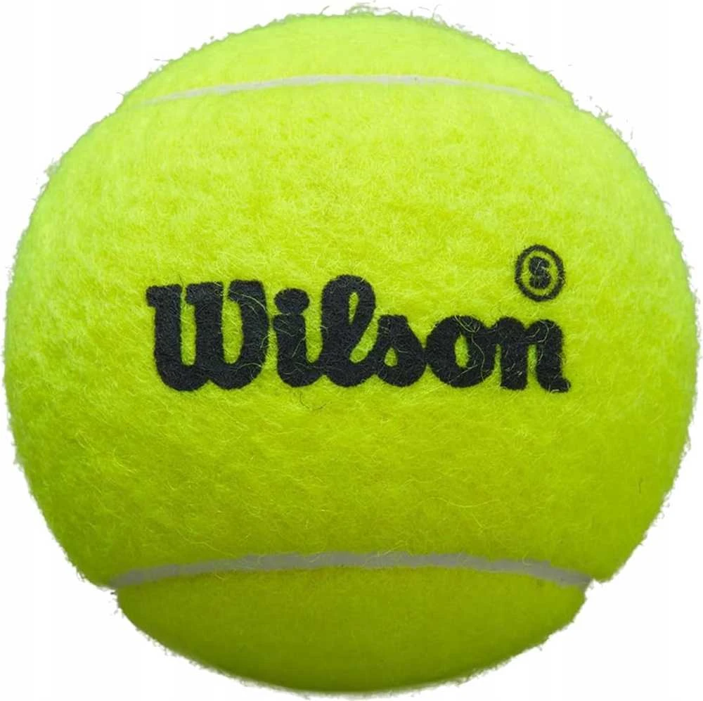 Wilson Premier Padel Speed 3 kamuoliukų rinkinys WR8908501001