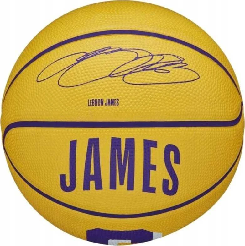 Wilson NBA žaidėjo ikona Stephen Curry mini kamuolinukas WZ4007401XB