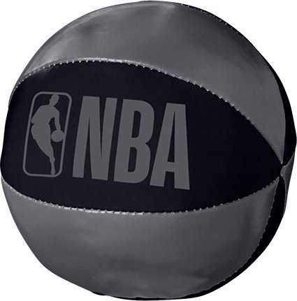 Krepšinio lenta 29x24 cm NBA Wilson