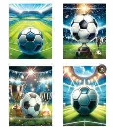 Dovanų maišeliai su futbolo tema rinkinys