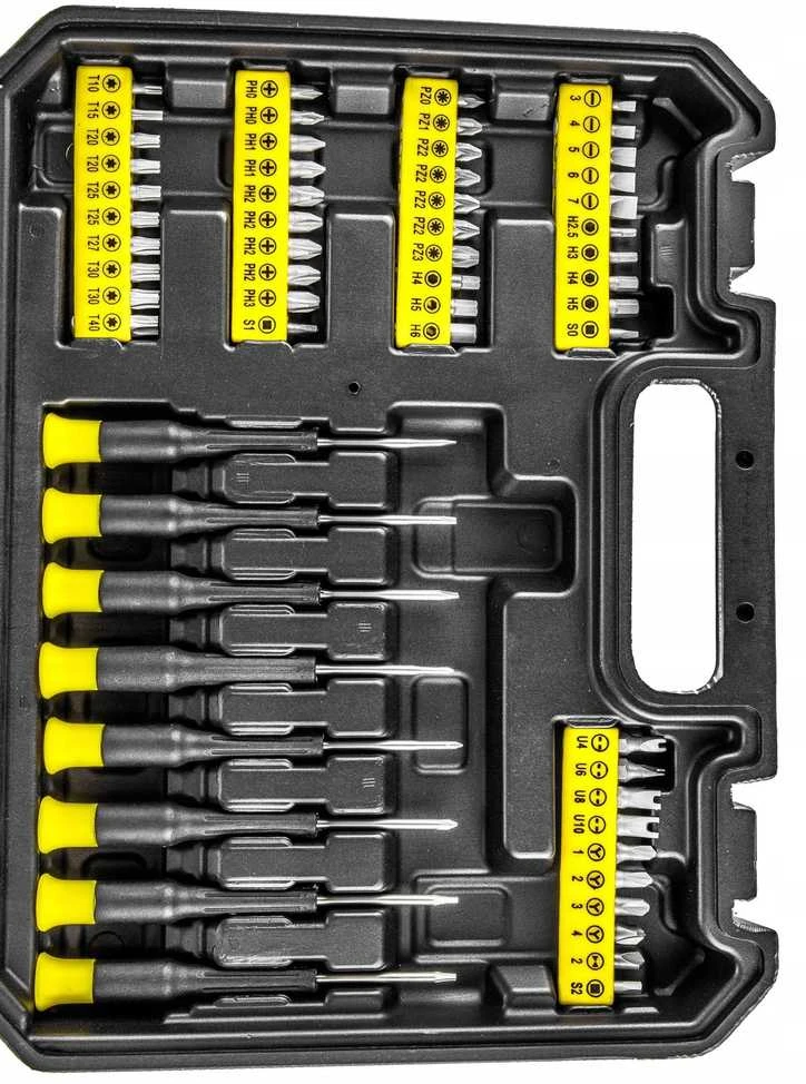 WMC TOOLS Rinkinys atsuktuvai ir antgaliai su magnetu, 65 vnt.