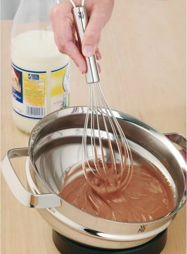 WMF šluotelė 25 cm, Profi Plus