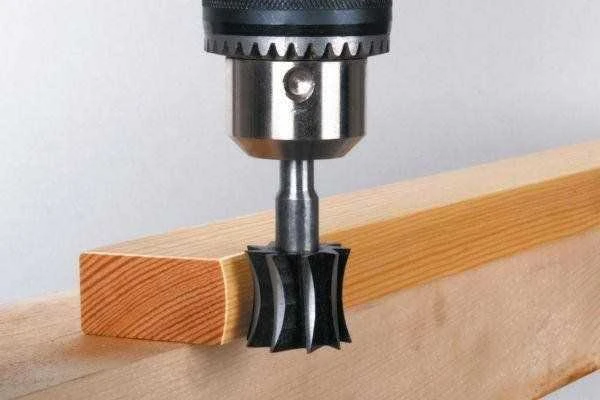 Wolfcraft Medžio freza WS 25X22X8 mm, R-25MM