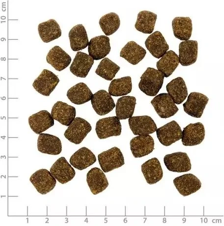 Wolfsblut DOG VETLINE SNACK 100g HYPOALLERGENIC konina (mięso końskie) + bataty (saldžiosios bulvytės)