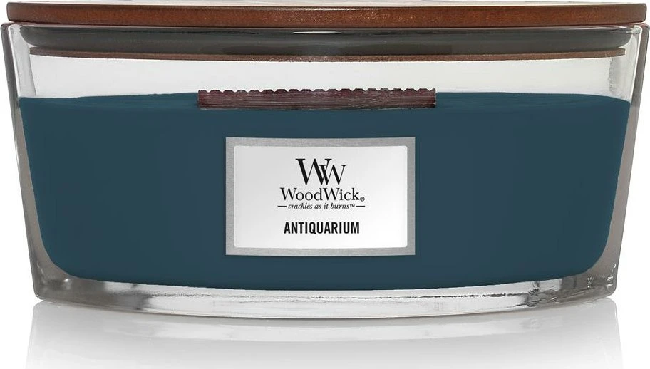 WoodWick Aromatinė žvakė (Antiquarium), 453,6 g