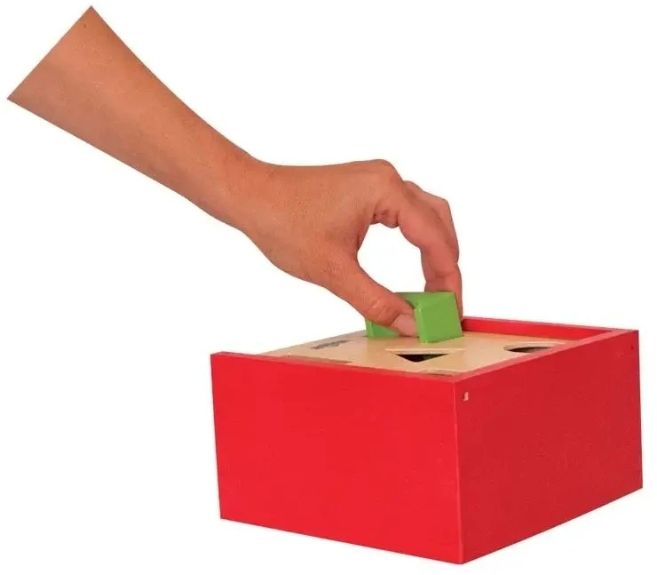 Dėlionė Woody 90001 Eco Wooden Mokomosios spalvos formos rūšiavimo dėžės konstruktorius (20vnt) vaikams nuo 2 metų (16x16cm)