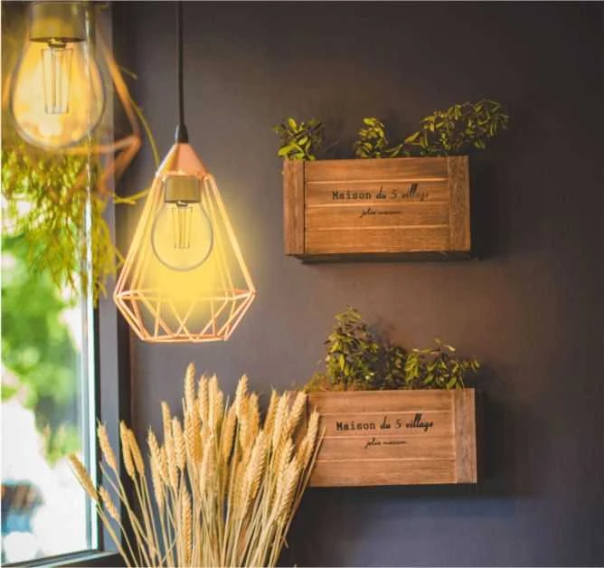 Lemputė LED filamentas E27, 230V, 6W, 650lm, 2700K, išmanioji Wi-Fi, valdoma programėle, TUYA, WOOX