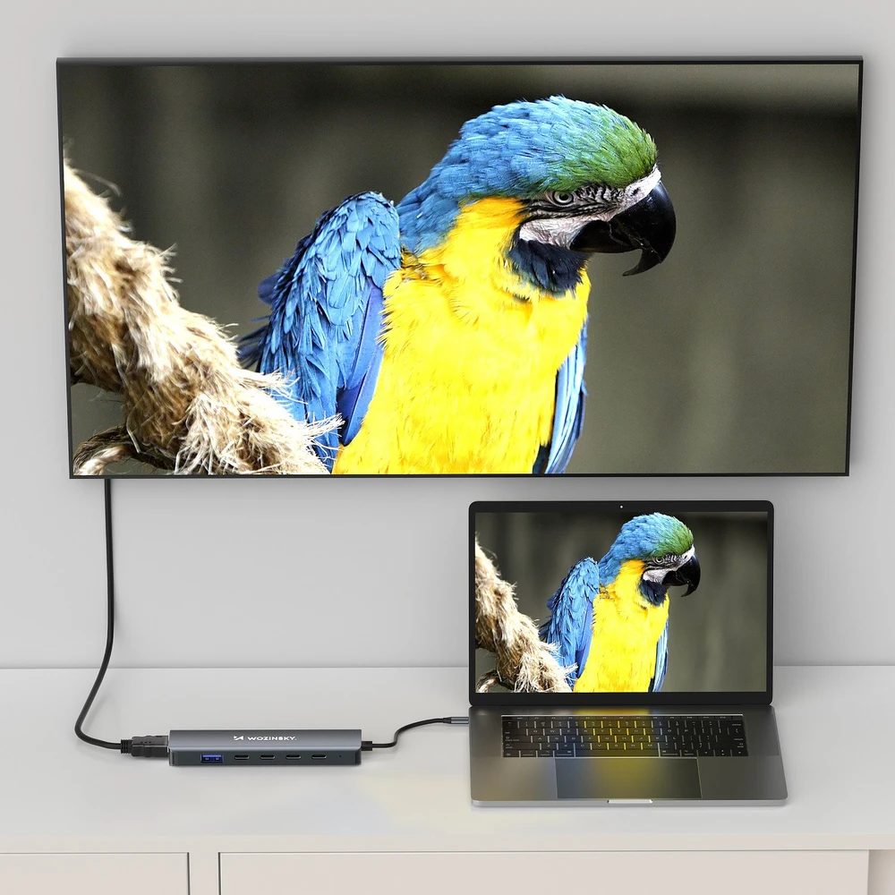 USB-C 6 viename šakotuvas Wozinsky WHBC10Y4S daugiafunkcis, aliuminio, su 25 cm laidu · pilkas