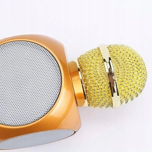 Riff Mikrofonas WS-1816 (WS-1816/GO)
