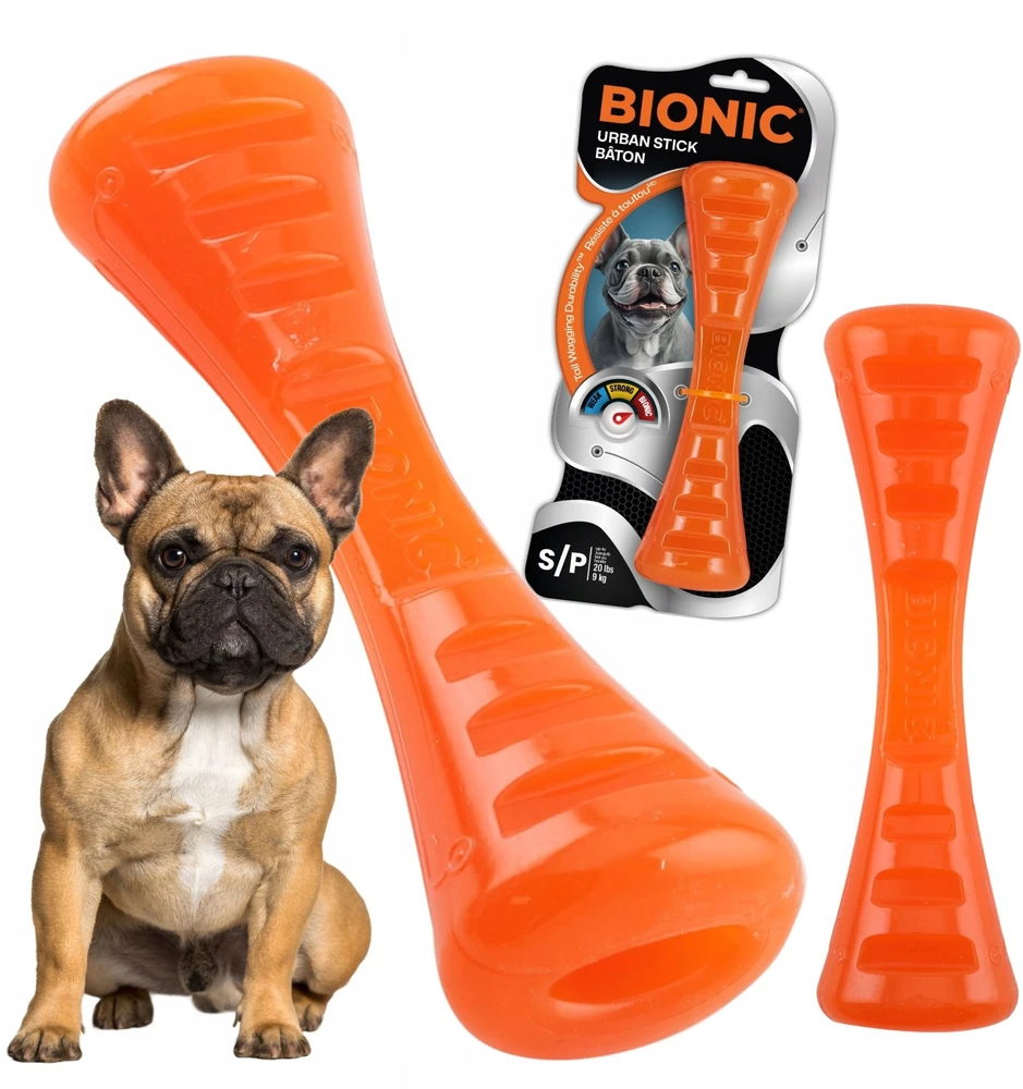 X-Bionic Bionic - BIONIC Urban Stick - Mažas - 20 cm