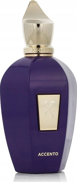 Xerjoff Accento EDP parfumuotas vanduo unisex, 100 ml