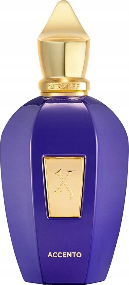 Xerjoff Accento EDP parfumuotas vanduo unisex, 100 ml
