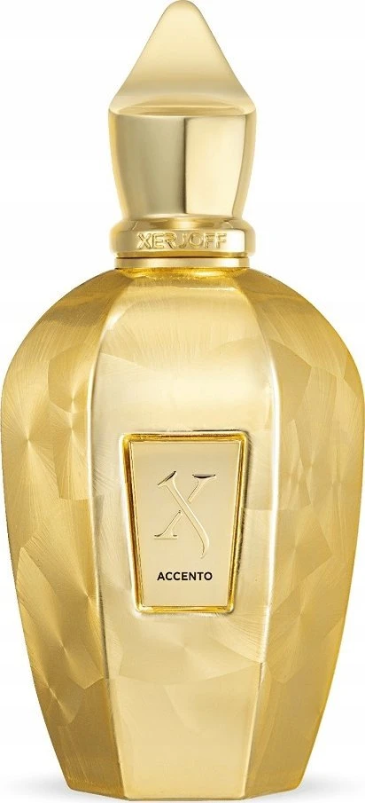 Xerjoff Accento Overdose EDP parfumuotas vanduo unisex, 100 ml