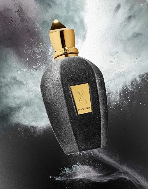 Xerjoff Overture EDP parfumuotas vanduo unisex, 50 ml