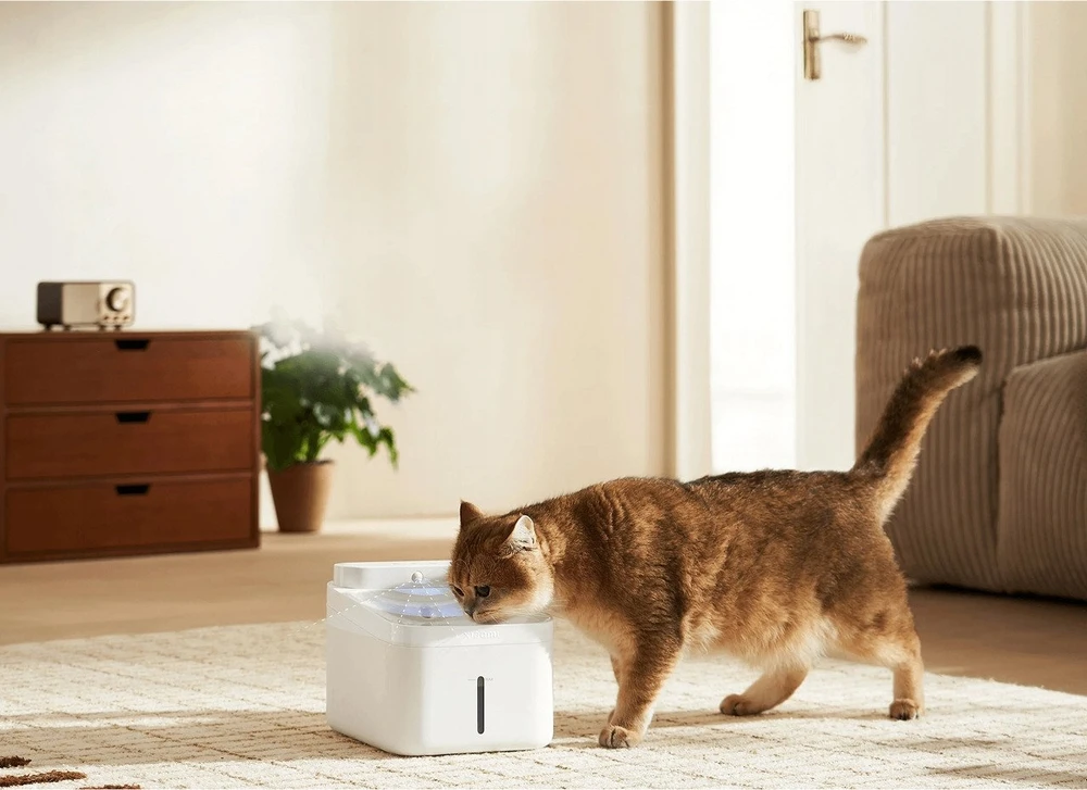 Xiaomi | Smart Pet Fountain 2 EU | Baltas