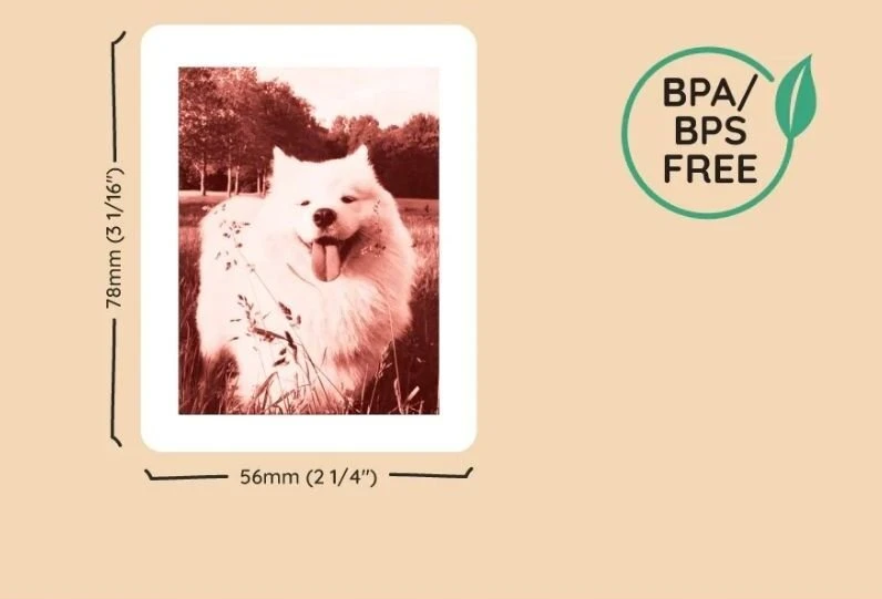 Xrec 120x Popieriniai Įdėklai Įdėklai Nuotraukoms Fotoaparatui Kiimento Modelis P2 4x Spalva / Print Packs 10x12 / 120 Vnt