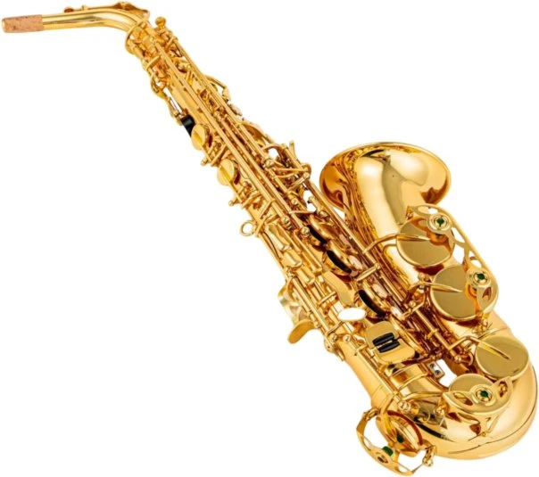 Carruzzo SUPRIMO ALTO SAXO Es alto saksofonas žalvarinis ranka