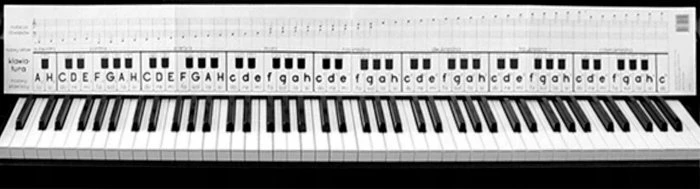 Skaitmeninis pianinas Yamaha P-225, juodas