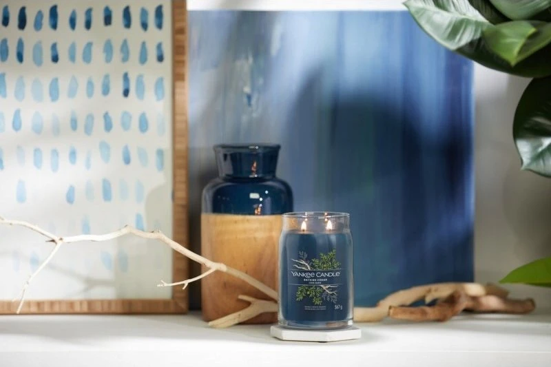 Yankee Candle Aromatinė žvakė Signatūrinė stiklinė didelė Bayside Cedar 567 g