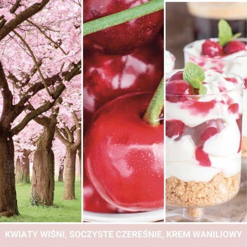 Yankee Candle Aromatinė žvakė "Signature large glass Rožinė Cherry - Vanilla" 567 g