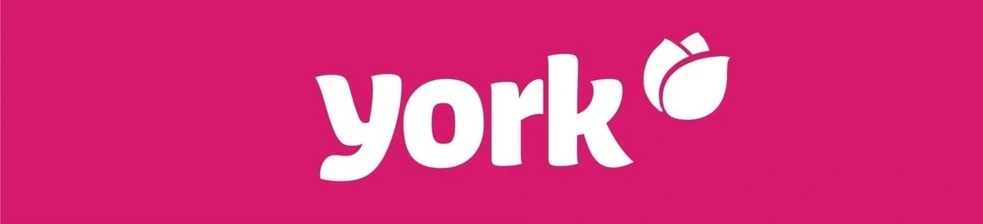 York - Medinis šepetys su arklio ašutais 40 cm