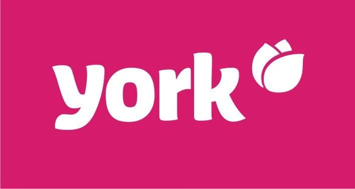 York Vazos kempinės 24vnt. + 4 nemokamai