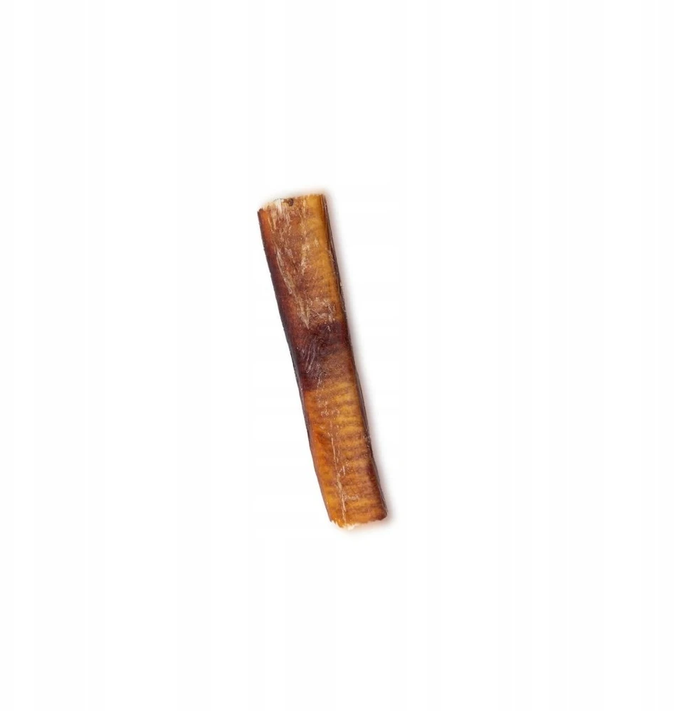 UNISZKI jautiena pizzle – skanėstas šuniui – 12 cm